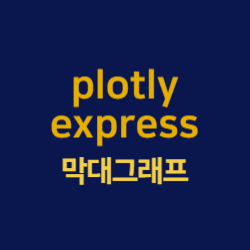 plotly.express 막대그래프