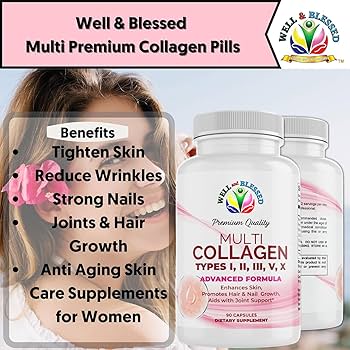 피부노화방지영양제