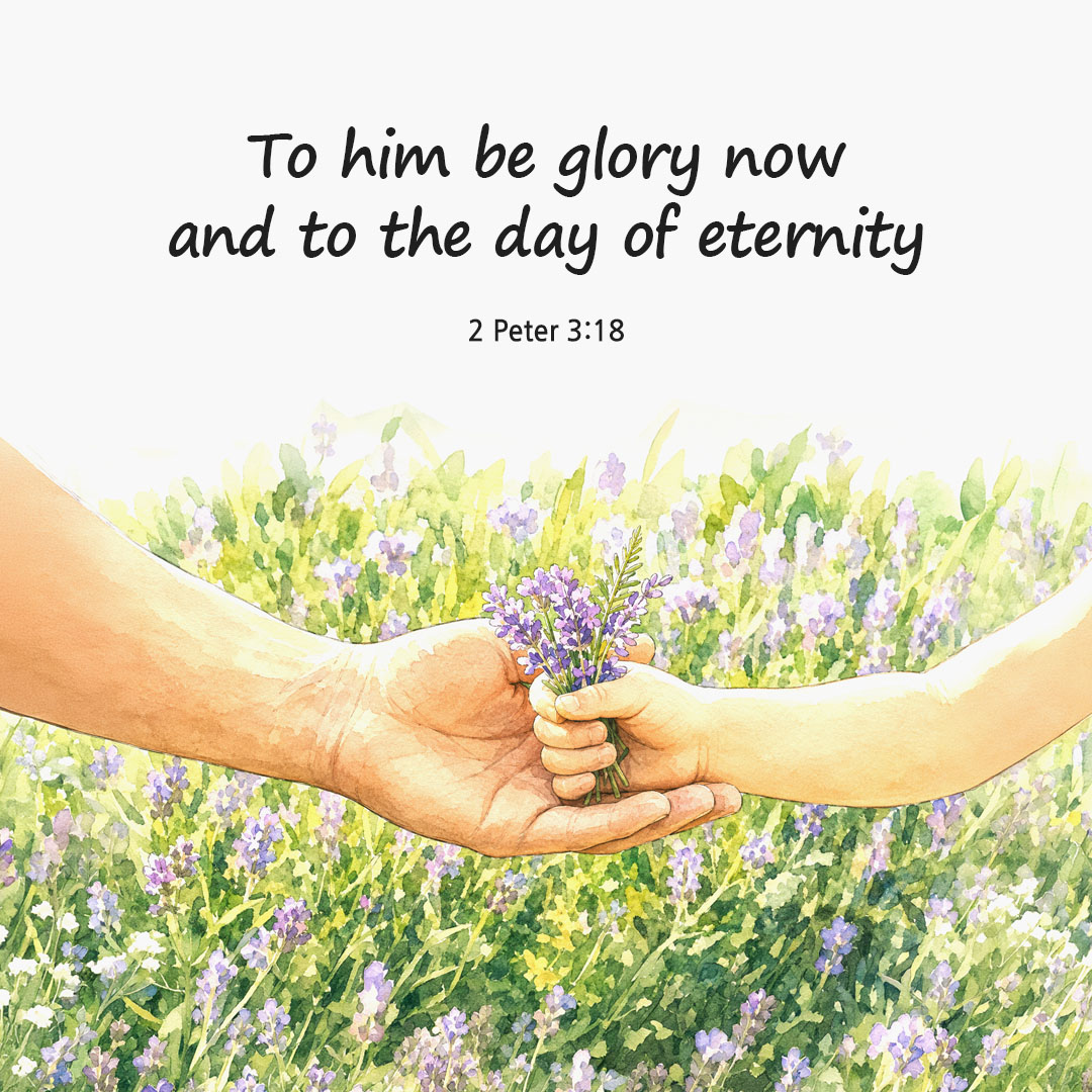 Today's Bible verse card 2 Peter 3:18 scripture image
