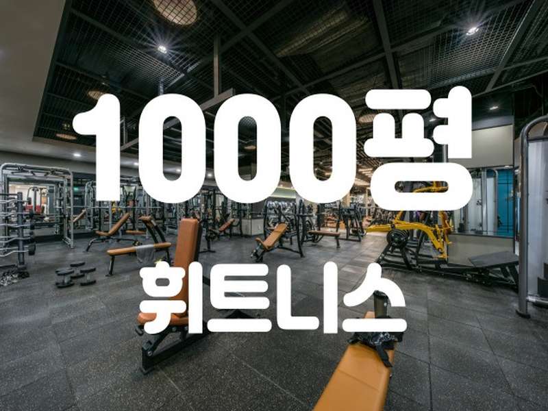 3. 지7워크아웃 소개