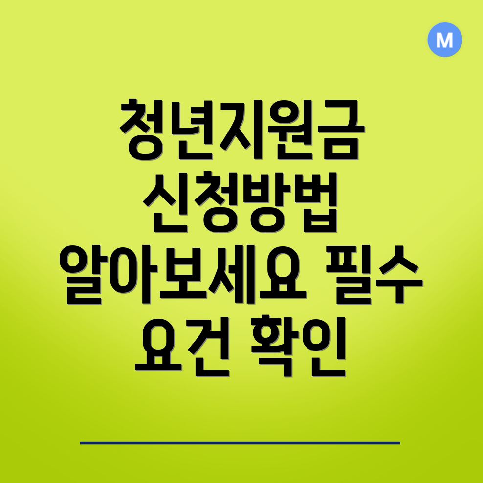 청년지원금