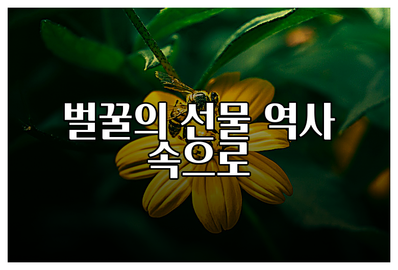 벌꿀의 선물 역사 속으로