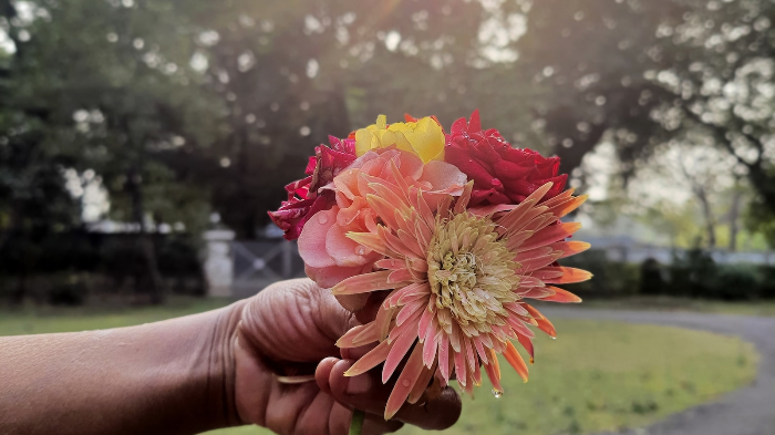 A Gratitude Practice 3