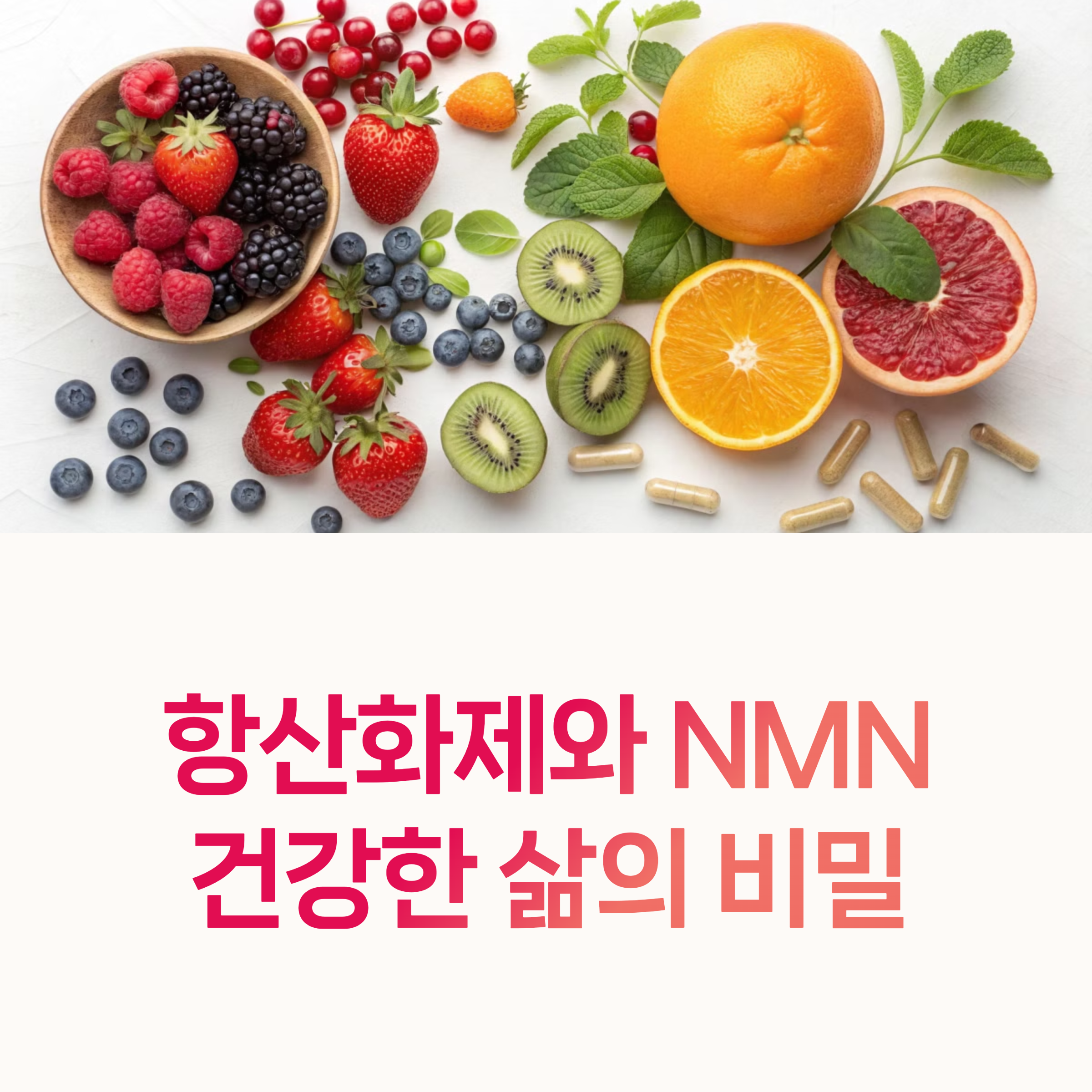 NMN, 항산화,