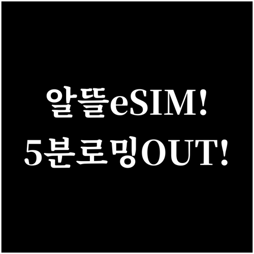 알뜰폰 eSIM 후기 로밍보다 빠르고..