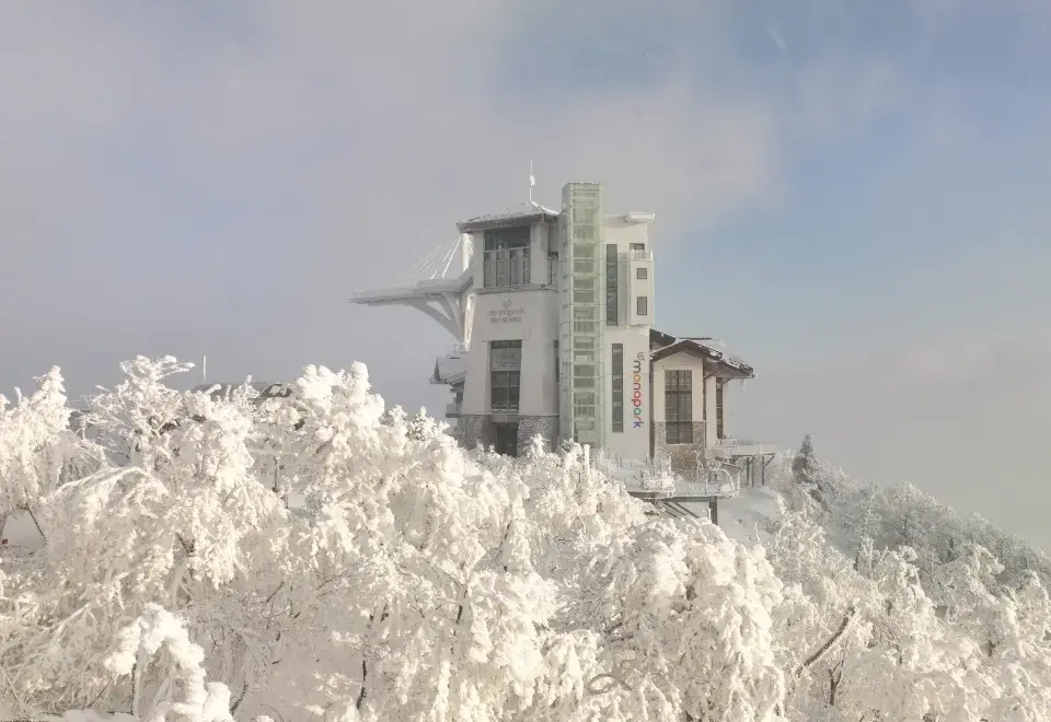 전국 스키장 개장 일정 및 추천 정보