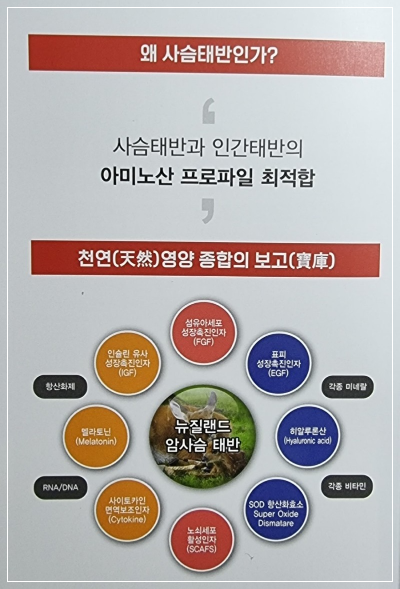 사슴태반의 성분과 효능