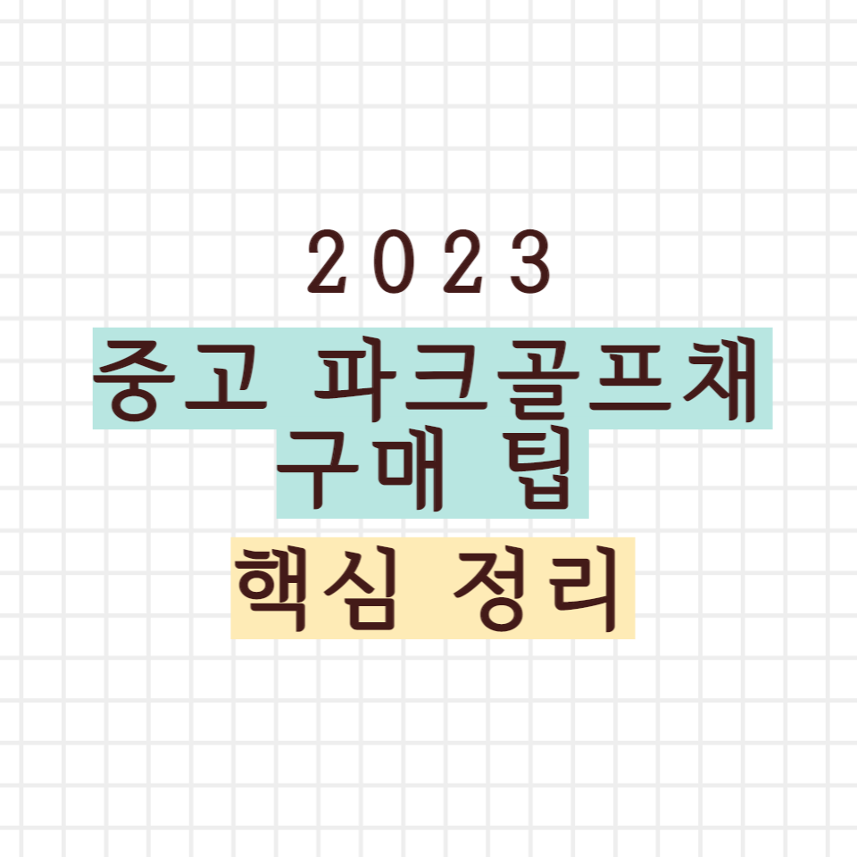 중고 파크골프채 구매 팁