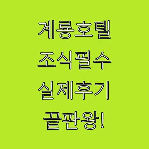 충남 계룡시 호텔 추천 조식 주는 브..