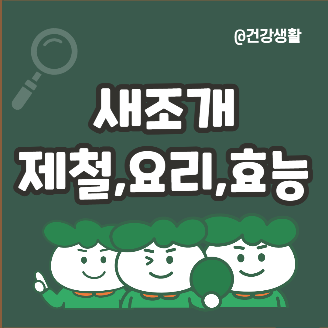 새조개