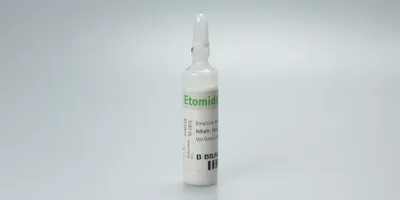 에토미데이트 제2의 프로포폴