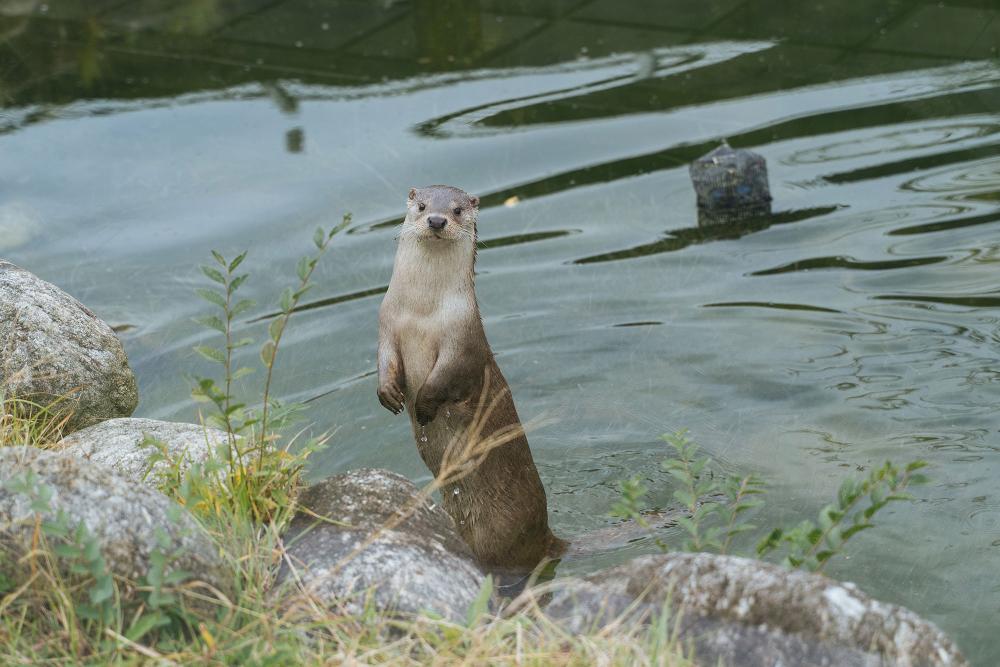 구례-가볼만한곳-TOP10