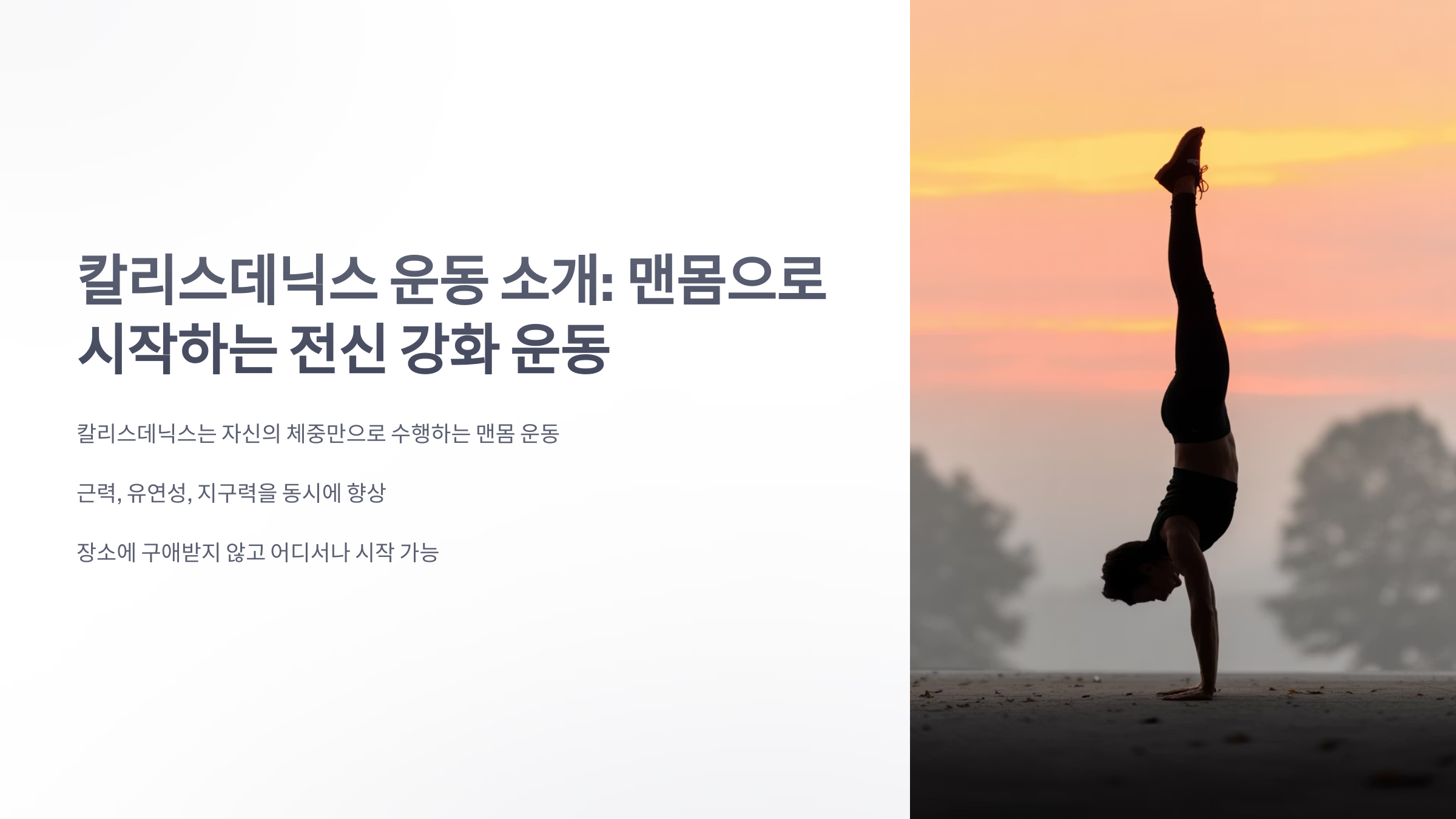 참조-칼리스데닉스-운동-소개-1