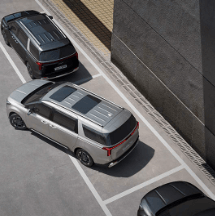 카니발 하이브리드