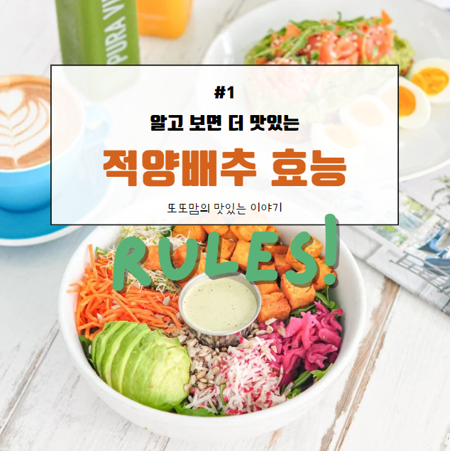 여는 베너