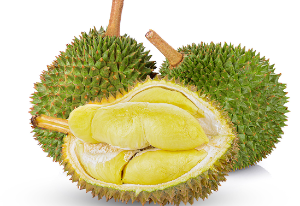 두리안