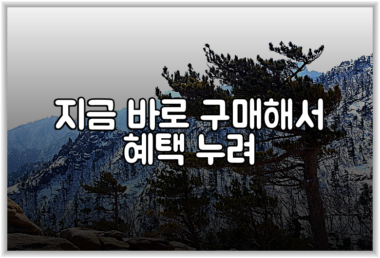 지금 바로 구매해서 혜택 누려