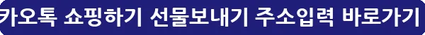 카카오톡 쇼핑하기 선물보내기 주소입력_13