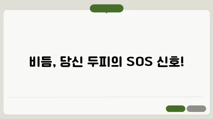 머리 비듬 원인