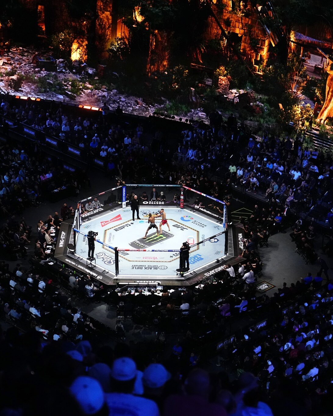 UFC 306