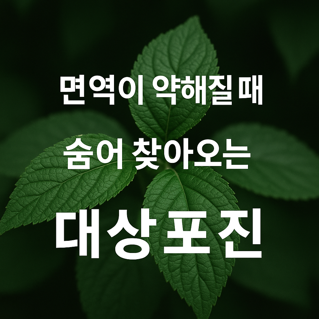 면역이 약해질 때 숨어 찾아오는 대상포진｜놓치면 길어지는 회복과 통증
