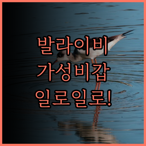 발라이 비토리오, 일로일로 여행의 숨