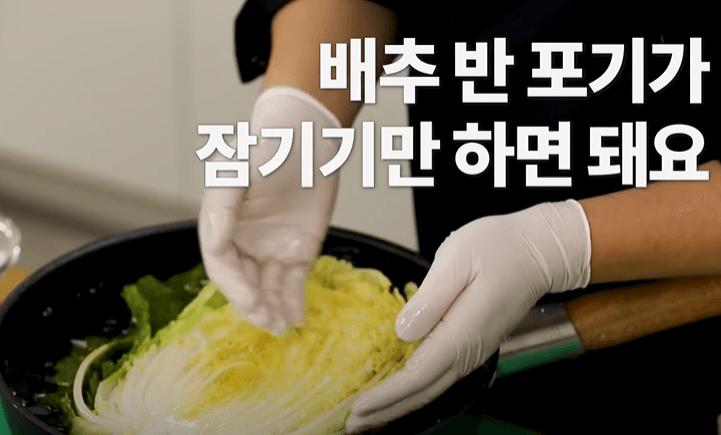 김장용 배추 절이는 법