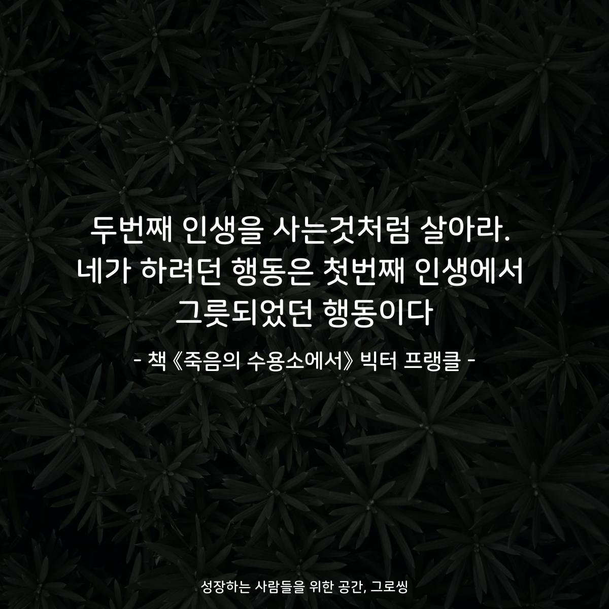 두번째 인생을 사는것처럼 살아라.
네가 하려던 행동은 첫번째 인생에서
그릇되었던 행동이다