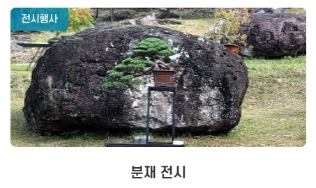 2024 화순 고인돌 가을꽃축제