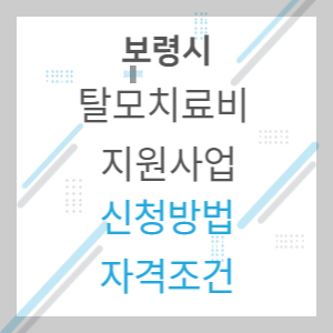 보령시_탈모치료비_지원사업_배너