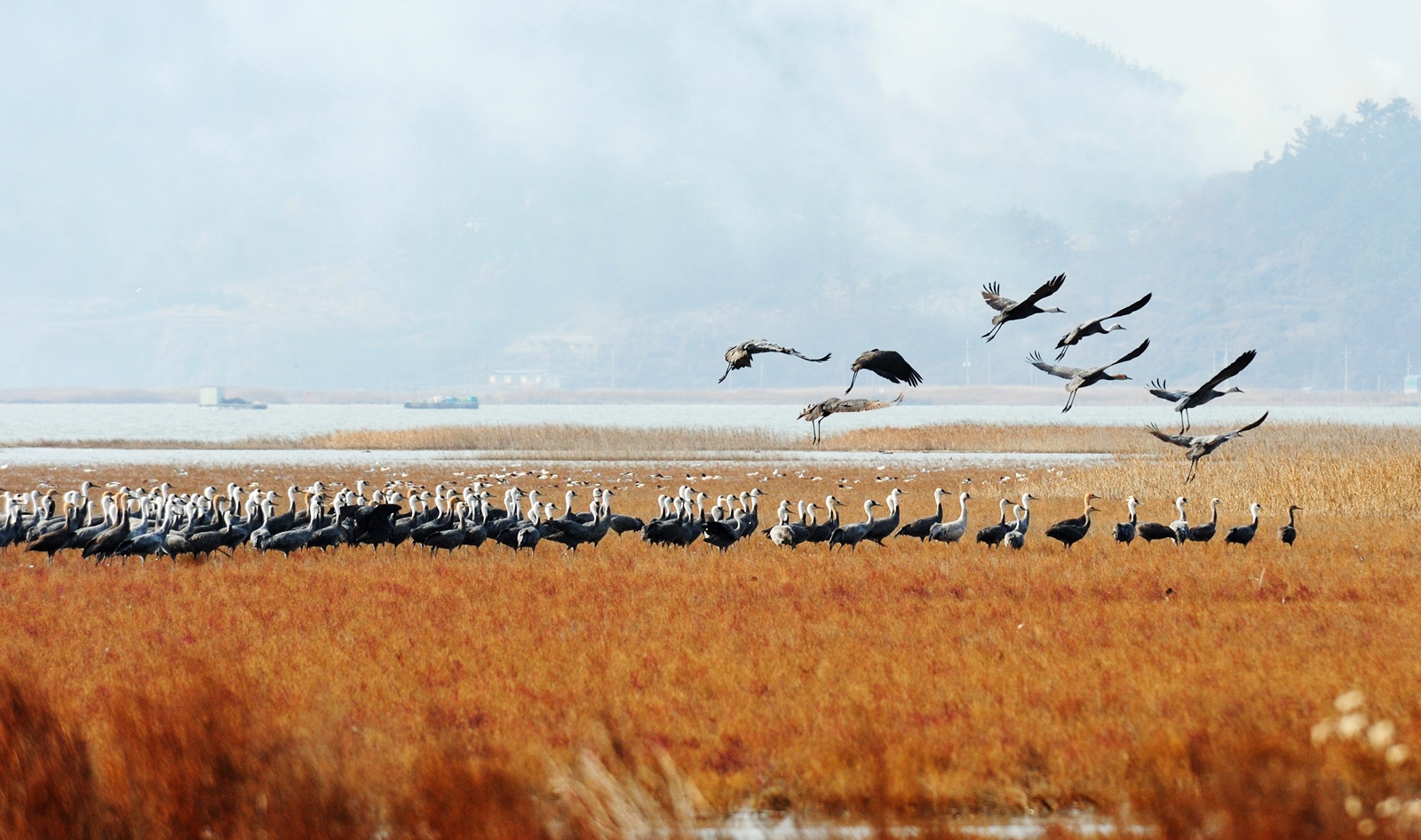 대한민국 구석구석 (가을 여행 할인 혜택)