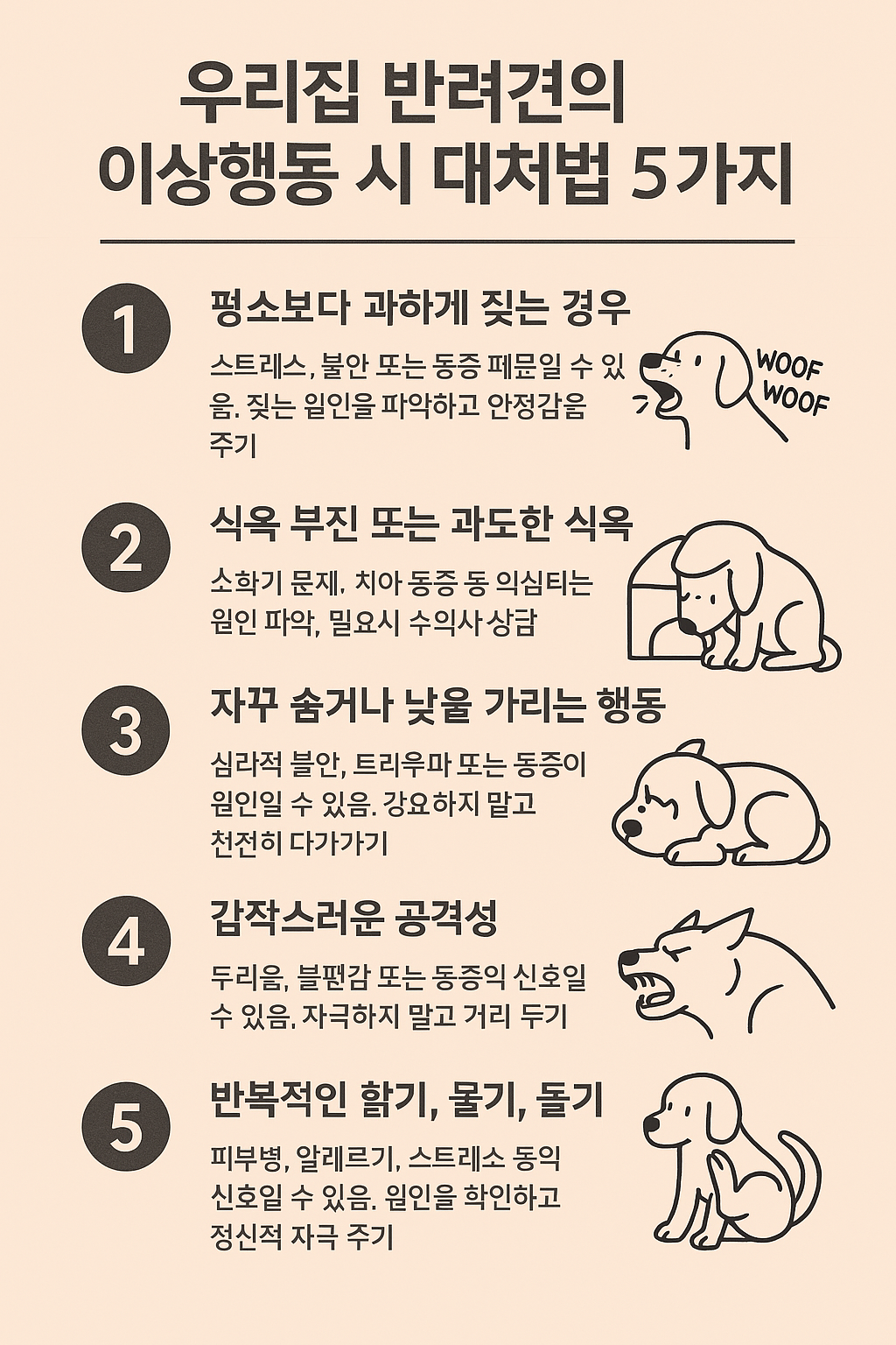우리집 반려견의 이상행동 시 대처법 5가지