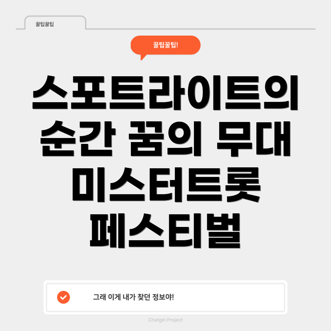 미스터트롯 페스티벌