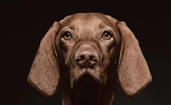 숙박 세일 페스타 완벽 정리 12