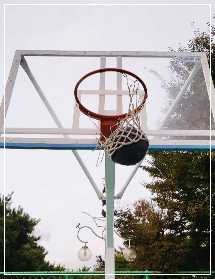 윌슨 매장 농구공 구매