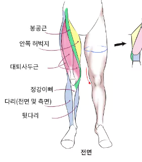 무릎-관절염에-좋은-운동-주의사항
