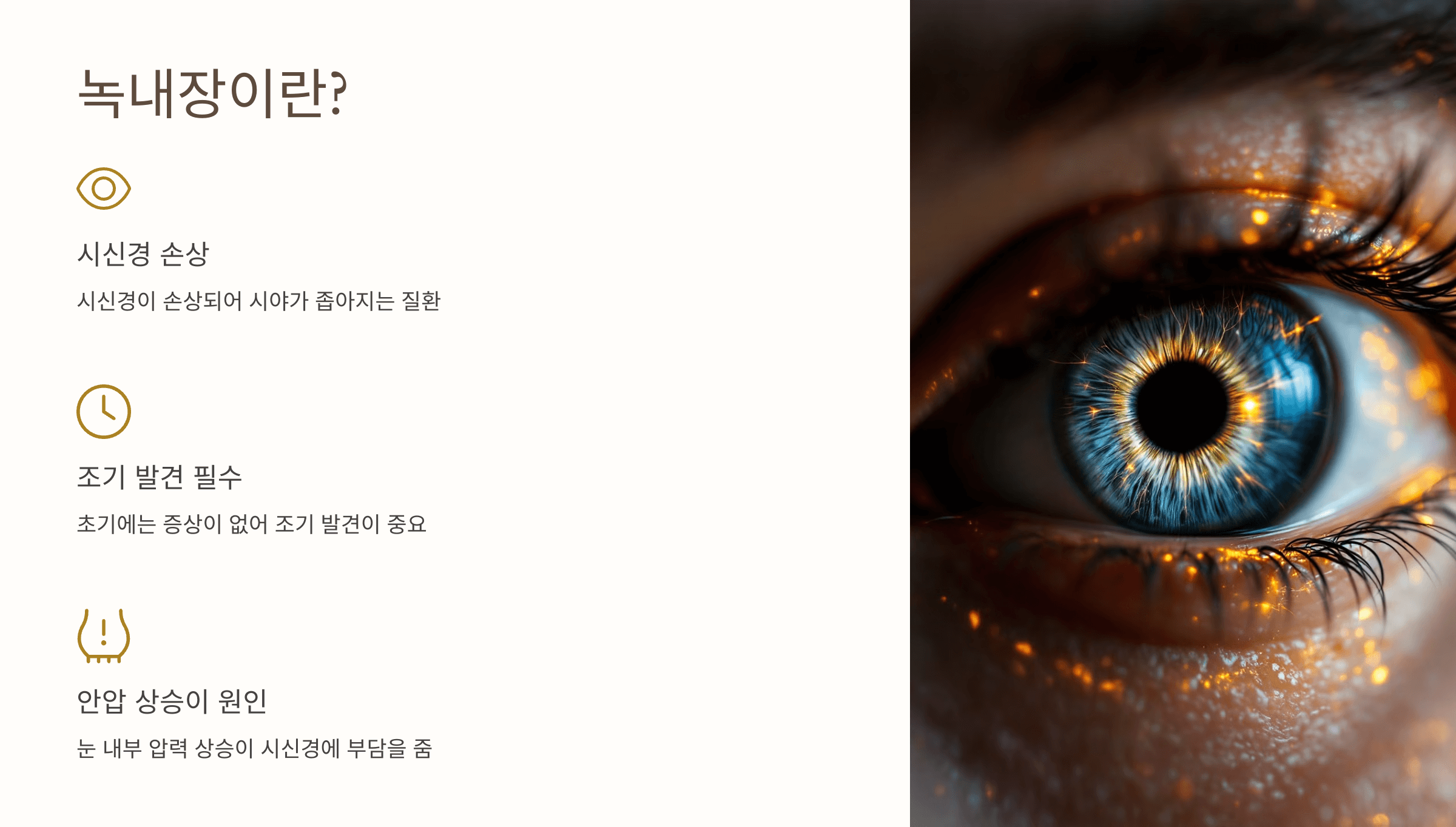 녹내장과 관련된 사진입니다.