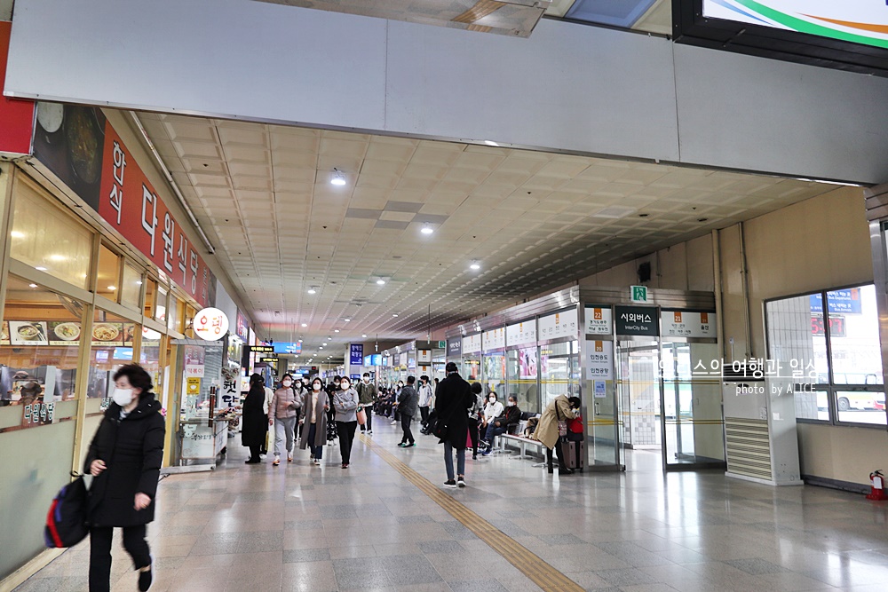 부산 - 경주 시외버스, 고속버스 차이, 터미널 위치