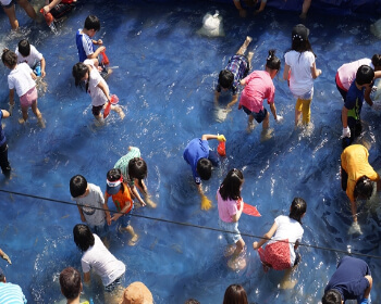 무창포 대하 전어축제_11