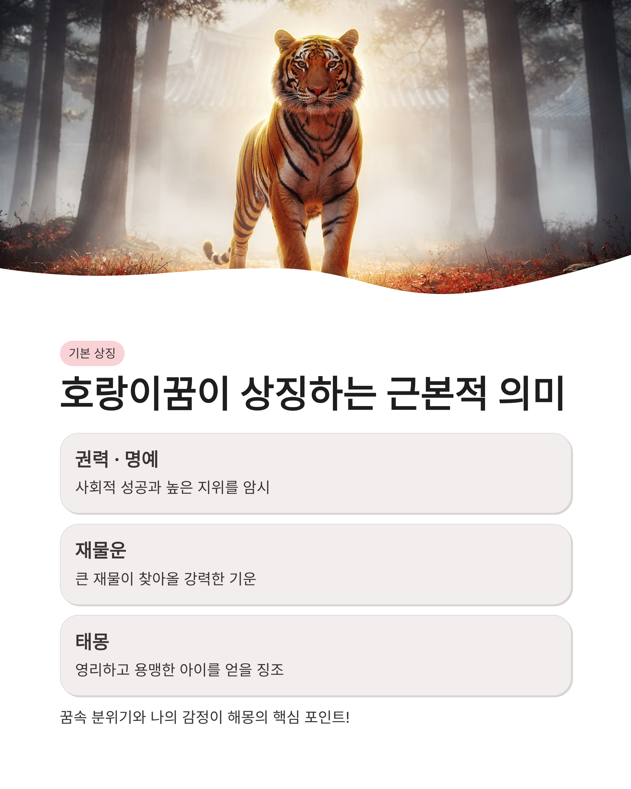호랑이꿈 해몽 ❘ 집에 들어오는 새끼 호랑이 쫓기는 꿈까지 상황별 완벽 정리!