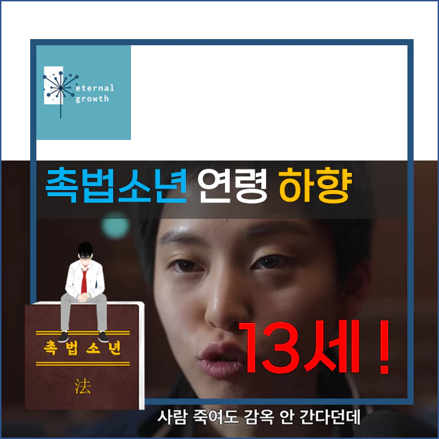 [촉법소년 연령하향] 촉법소년 나이 만 13세 인하
