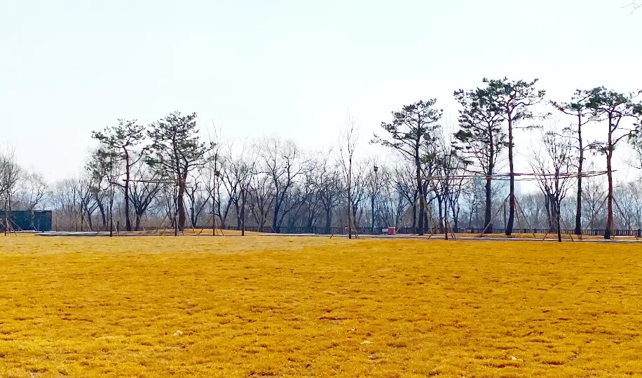 서울-난지캠핑장-예약-방법-이용-요금-가격-시간