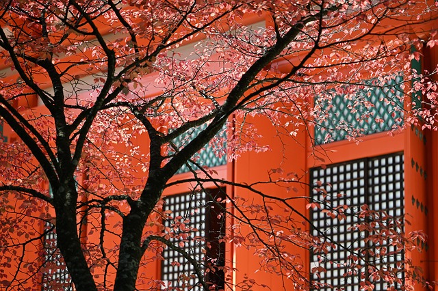 가야산