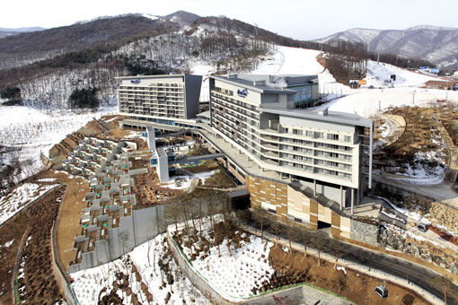 하이원 리조트 스키장