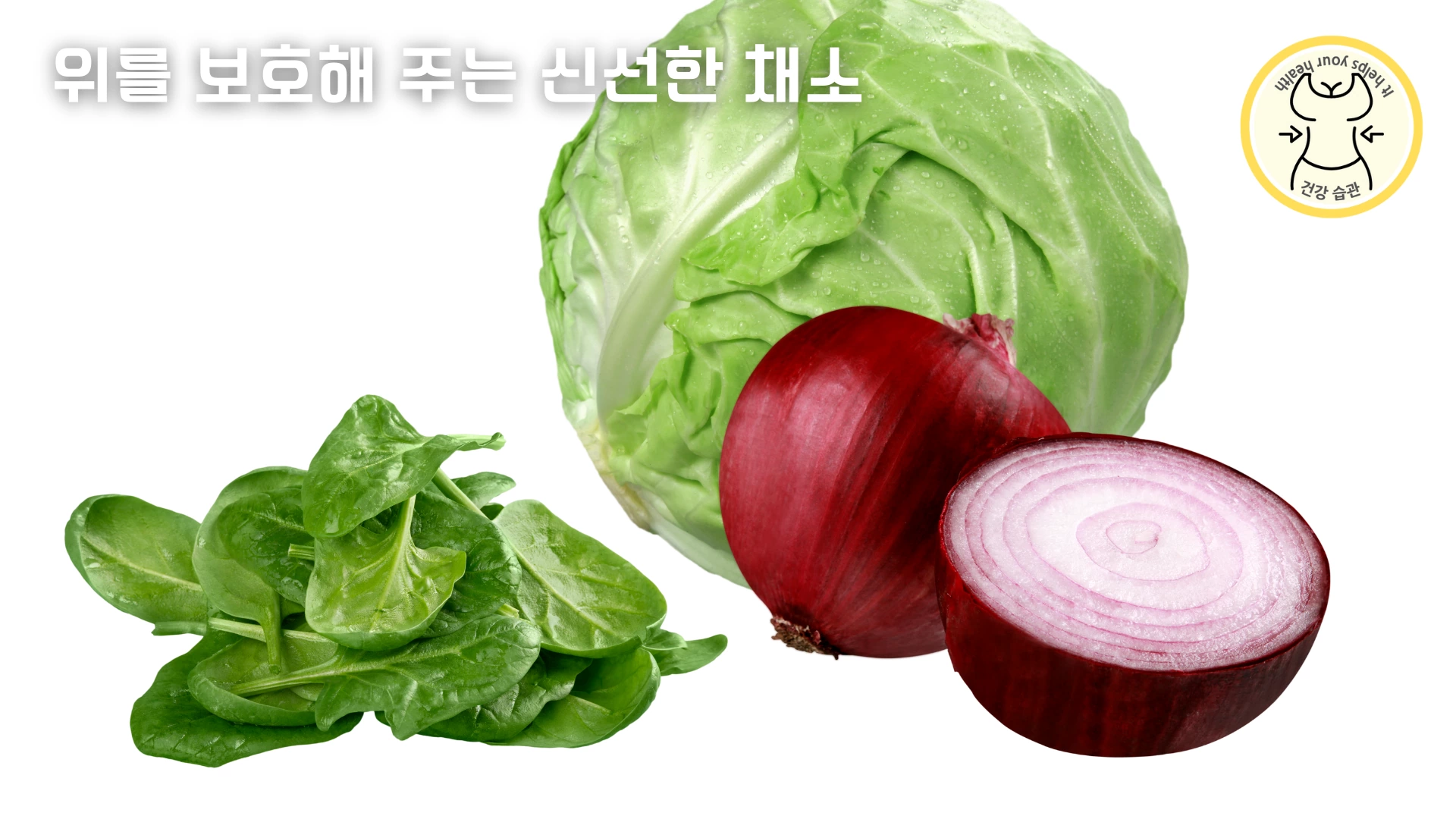 지중해식 다이어트 하는 방법 - 위장을 보호해 주는 신선한 채소