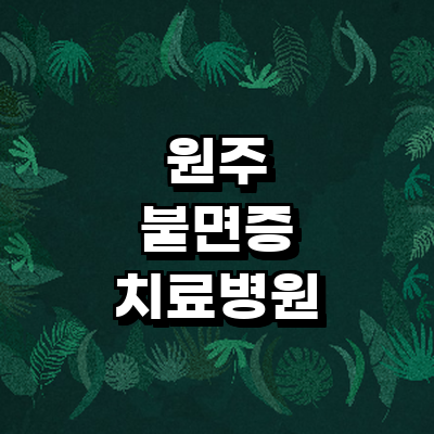 원주시 불면증