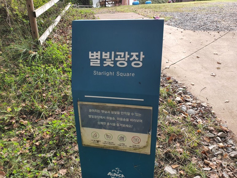 그림