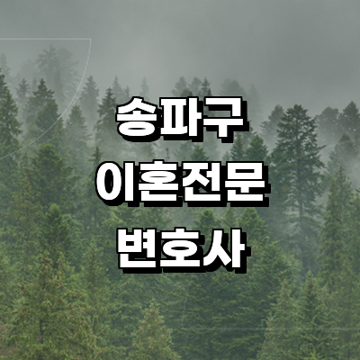 서울 송파구 이혼 변호사