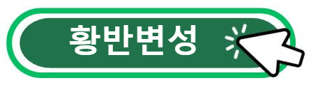 황반변성 알아보기