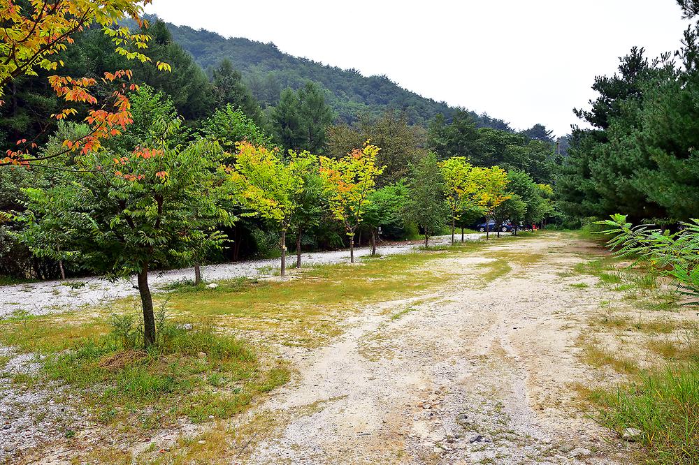 경기도 포천계곡갬핑장 소개